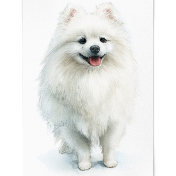 Watercolor Pomeranian Dog Portrait Art Print – Unframed Fine Art Poster - Picture 2 of 5